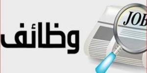 مرتب يصل لـ8000 ريال.. وزارة العمل تعلن عن وظائف خالية في السعودية - أخبار كلمتك