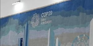 سجاد أذربيجاني يحكي قصة المناخ في COP29 (فيديو وصور) - أخبار كلمتك