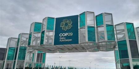 مؤتمر الأطراف COP29 يحقق إنجازات تاريخية - أخبار كلمتك