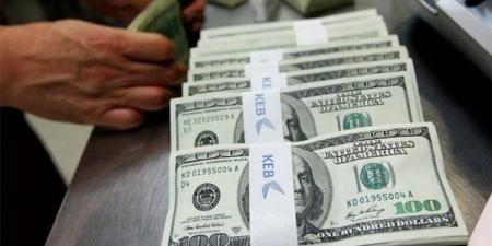 سعر الدولار أمام الجنيه في البنك المركزى اليوم الاثنين - أخبار كلمتك