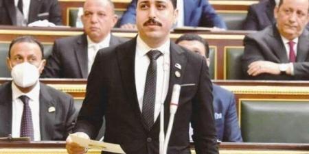 برلماني: قمة الرئيس السيسي والعاهل الأردني تؤكد الموقف الثابت الرافض للتهجير القسري للفلسطينيين - أخبار كلمتك