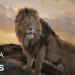 مشاهير العرب - بعد عرضه في دور السينما.. تفاصيل فيلم «mufasa:The lion king» - أخبار كلمتك