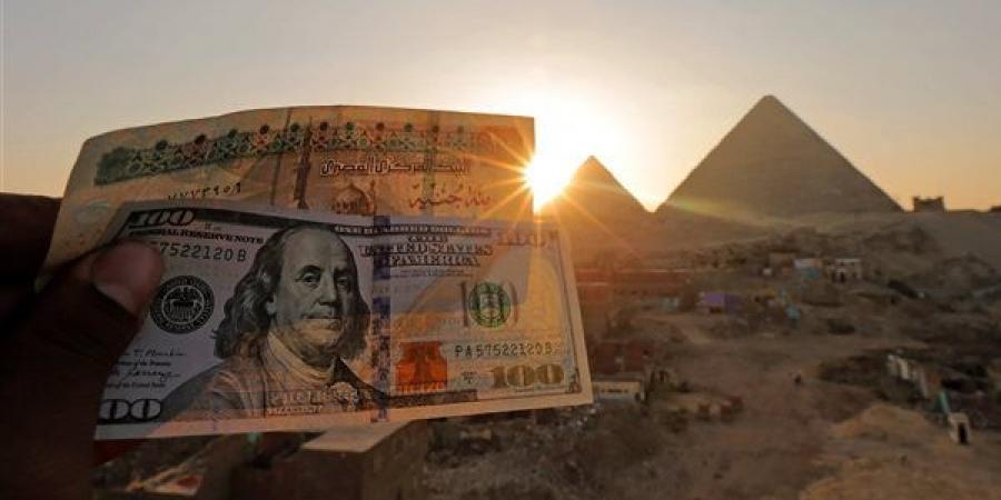 ارتفاع سعر الدولار في البنك المركزي ختام تعاملات اليوم الخميس 8 أغسطس 2024 - أخبار كلمتك