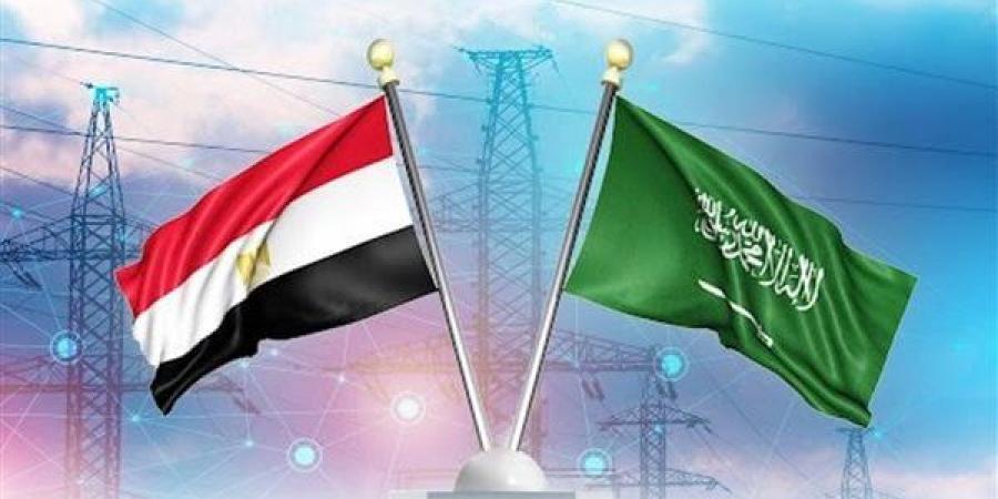 511 مليون دولار قيمة الاستثمارات السعودية بمصر خلال 9 أشهر من العام المالي الحالي - أخبار كلمتك