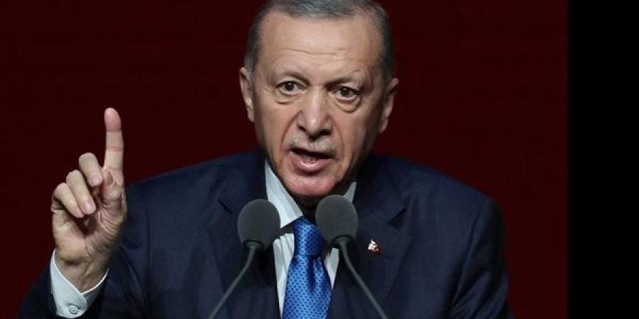 أردوغان: إسرائيل تعمل على إلغاء حل الدولتين ومنع عودة الفلسطينيين - أخبار كلمتك