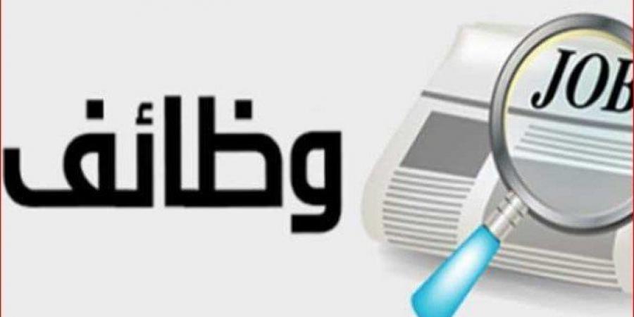 مرتب يصل لـ8000 ريال.. وزارة العمل تعلن عن وظائف خالية في السعودية - أخبار كلمتك