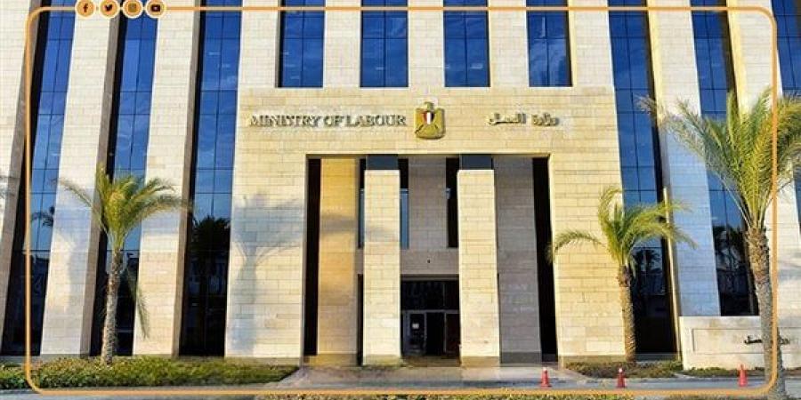 خطوات تسجيل ذوي الهمم بموقع وزارة العمل للحصول على فرصة عمل - أخبار كلمتك