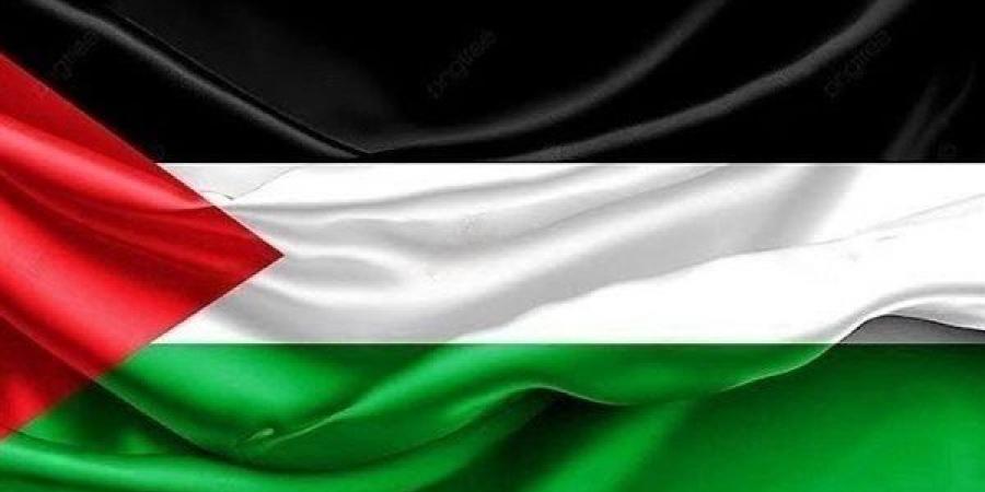 مصر تحيي اليوم الدولي للتضامن مع الشعب الفلسطيني - أخبار كلمتك