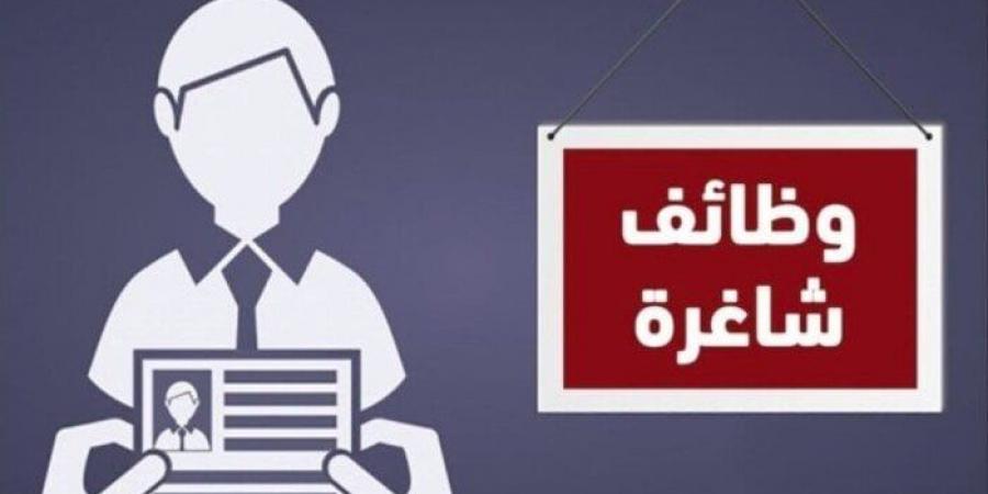 وظائف التضامن الاجتماعي.. التخصصات والشروط وكيفية التقديم - أخبار كلمتك