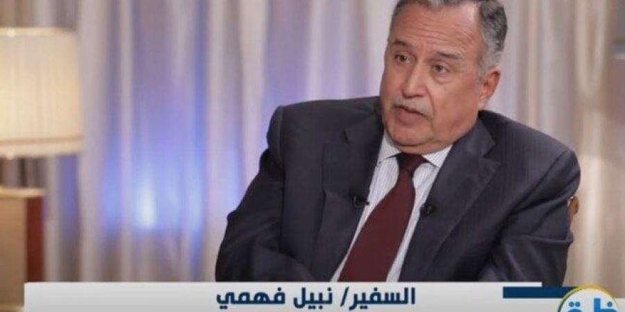 «السفير نبيل فهمي»: ترامب يريد إنهاء القضية الفلسطينية عبر حل الدولتين - أخبار كلمتك