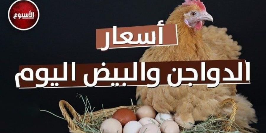 الرياضة -   09:11  - في بورصة الدواجن.. أسعار الفراخ والبيض اليوم السبت 18 يناير 2025 - أخبار كلمتك