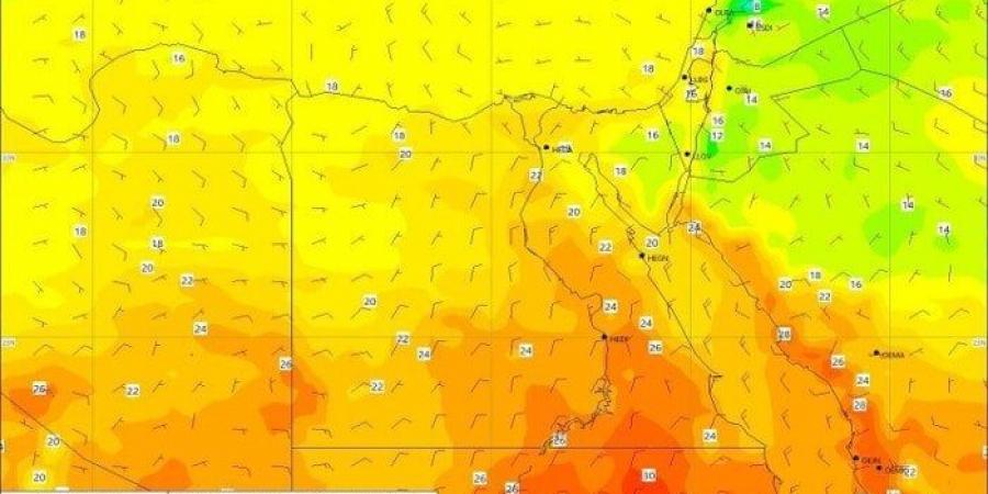 سيطرة الشبورة واعتدال الأجواء.. الأرصاد تعلن حالة الطقس اليوم الأحد 19 يناير 2025 - أخبار كلمتك