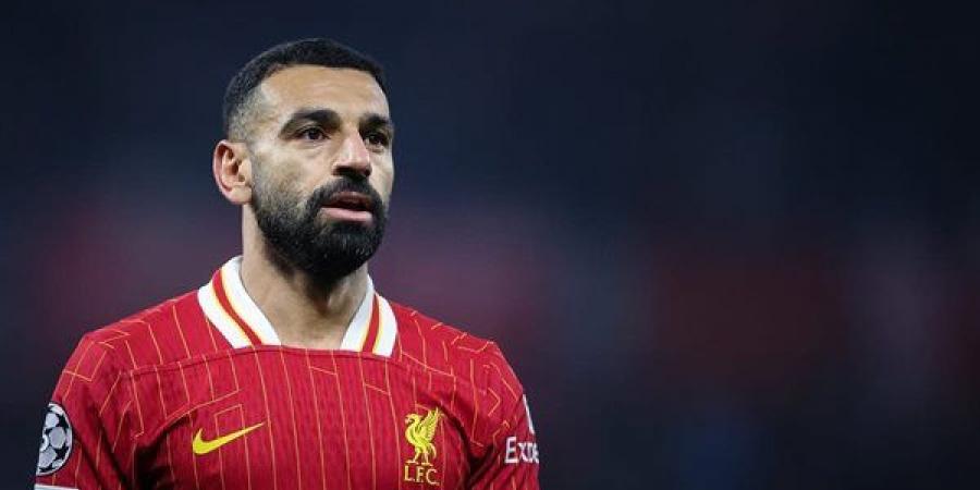 محمد صلاح ينعي ميمي الشربيني - أخبار كلمتك