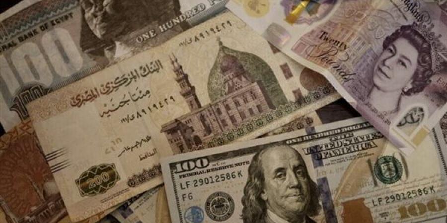 فيتش تكشف توقعاتها للفائدة والتضخم وتحويلات المصريين بالخارج - أخبار كلمتك